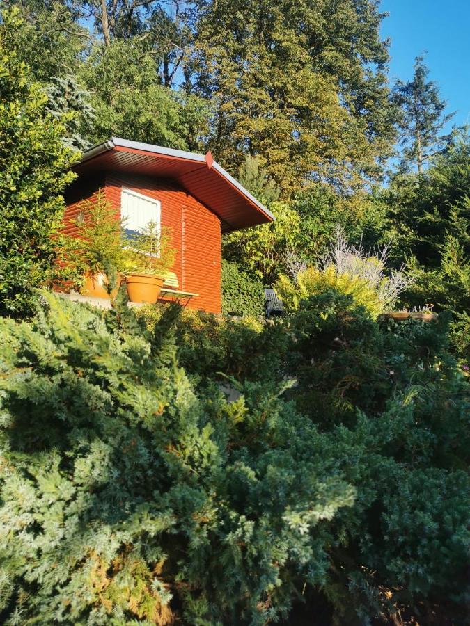 Ferienwohnung Brockenblick Вернигероде Экстерьер фото